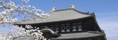 日本奈良酒店图片