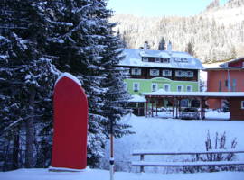 阿尔卑斯哈曼休斯旅馆图片
