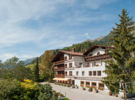 Hotel Alpina图片
