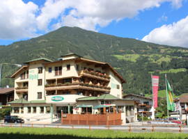 Hotel Alpina图片
