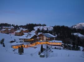 阿尔卑斯山谢勒科夫度假酒店图片