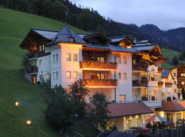 阿尔卑斯山雪绒花格罗斯萨尔 - 明镜斯特恩酒店图片