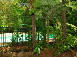热带雨林汽车旅馆图片