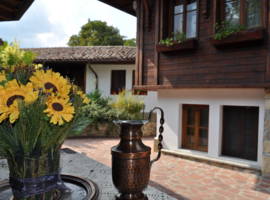 image of Hotel Izvora