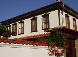 image of Iliikova House