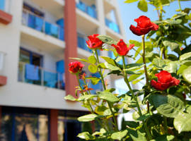 image of Hotel Nadia