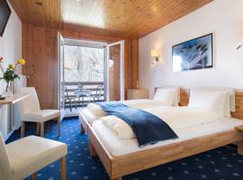 阿尔卑山酒店图片
