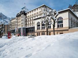 瑞士酒店图片_10
