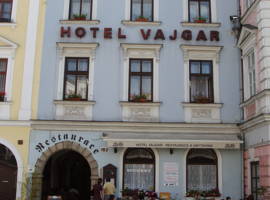 瓦杰加酒店图片