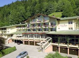 菲舍尔阿尔卑斯山l酒店图片