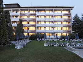 Hotel Schweizer Hof图片