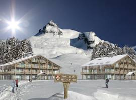 勃朗峰阿尔卑斯庄园酒店图片