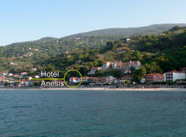 阿尼西斯酒店图片