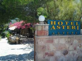 Asteri Hotel图片