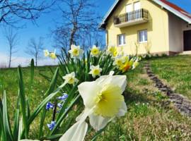 image of Apartment Vienna