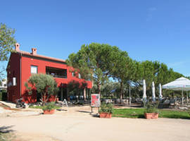 image of Apartments Oliveto