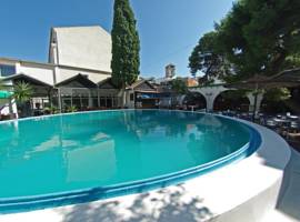image of Hotel Borovnik
