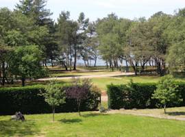image of Apartments Bruno