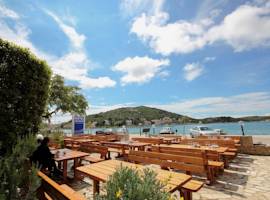 image of Hotel Plava Laguna