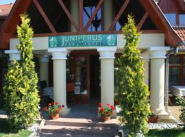 Juniperus Park Hotel Kecskemét图片
