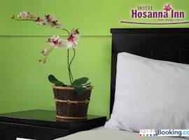 Hosanna Inn Pontianak图片