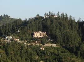 Royal Shimla图片