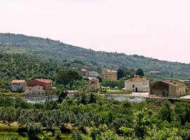 Borgo Casorelle图片