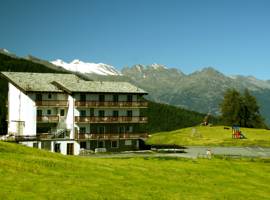Hotel Chalet des Alpes图片