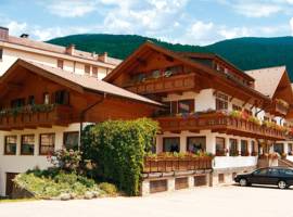 Hotel Pension Alpenhof图片