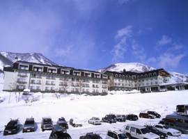 白马阿尔卑斯山酒店图片