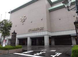 东日本宇都宫酒店图片