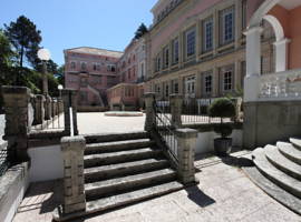 伊纳特尔皇宫圣佩德罗多苏尔酒店图片
