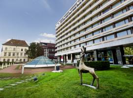 image of Hotel Aro Palace