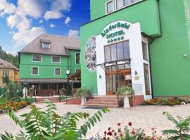 image of Hotel Binderbubi Sighisoara*****