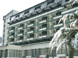 image of Hotel Bradul