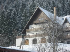 image of Bucovina Lodge Pension
