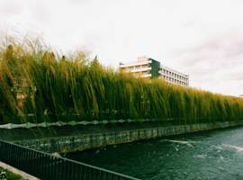 image of Hotel Carpati