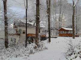 image of Casa de vacanta Pintea