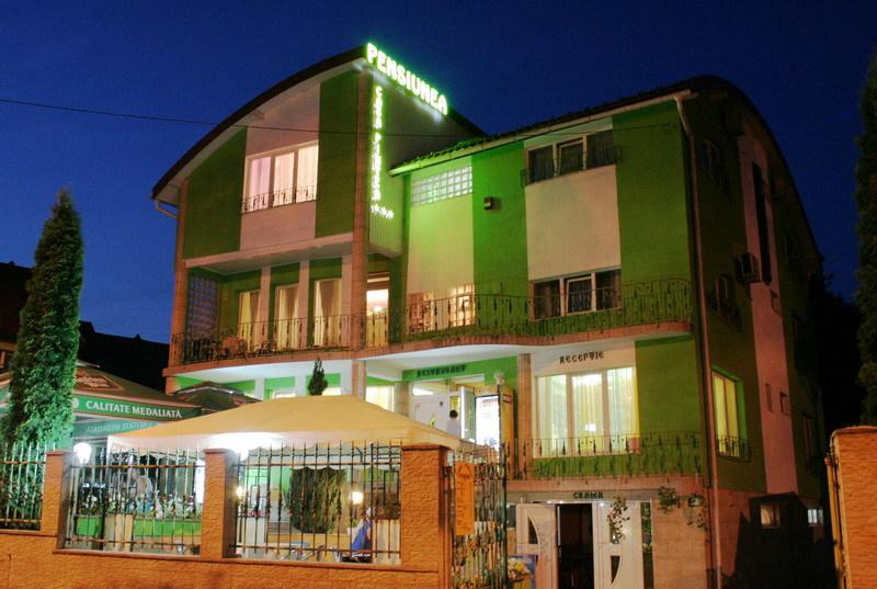image of Casa Pintea