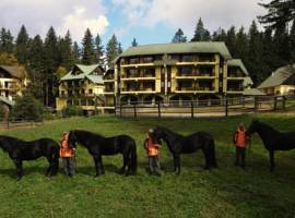 image of Aparthotel Casa Viorel