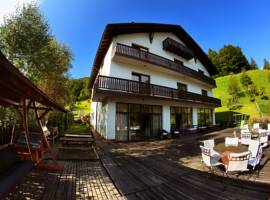 image of Pension Conacul Vanatorului