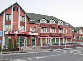 image of Flamingo Hotel & Wellness Center