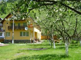 image of Pensiunea Intim Montan