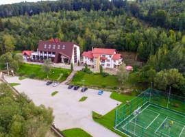 image of Pension Lidana Bucovina