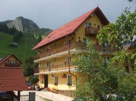 image of Pensiunea Malina