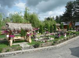 image of Pensiunea Rustic