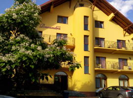 image of Pensiunea Ruxandra