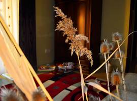 image of Hotel Stejeris