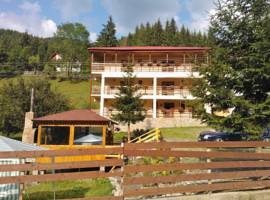 image of Vila Bianca Dragusin