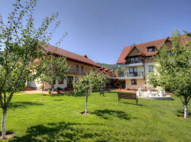 image of Vila Scobici